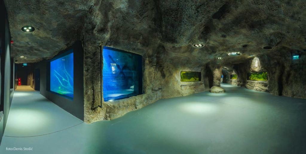Sobe Zalac カルロヴァッツ エクステリア 写真
